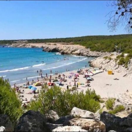 Studio Mer Et Vacances 소세레팽 외부 사진