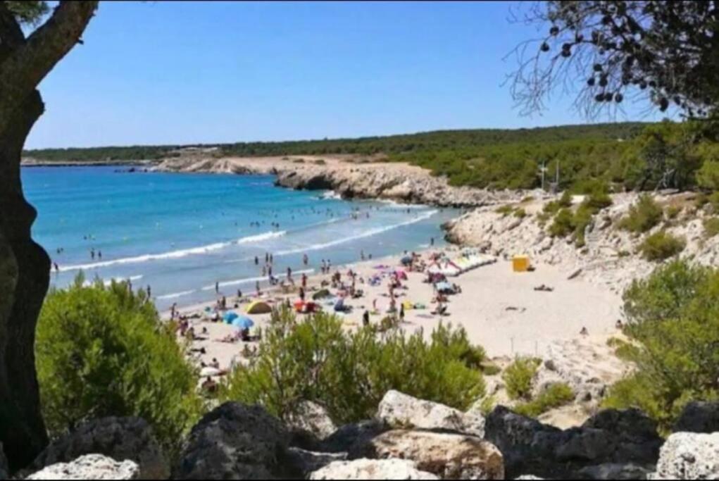 Studio Mer Et Vacances 소세레팽 외부 사진